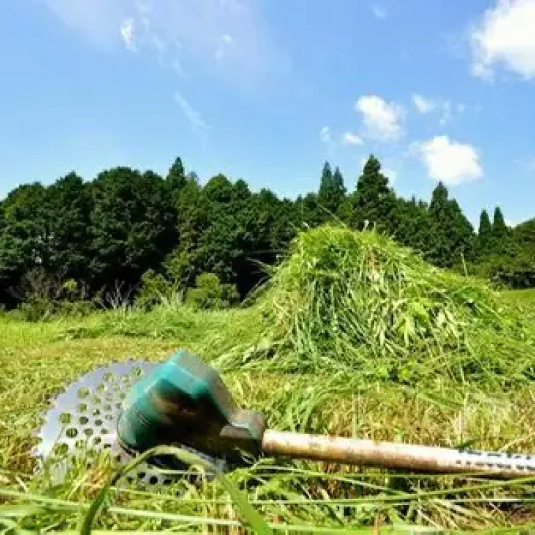 LINE_ALBUM_サービス一覧画像_260412_2